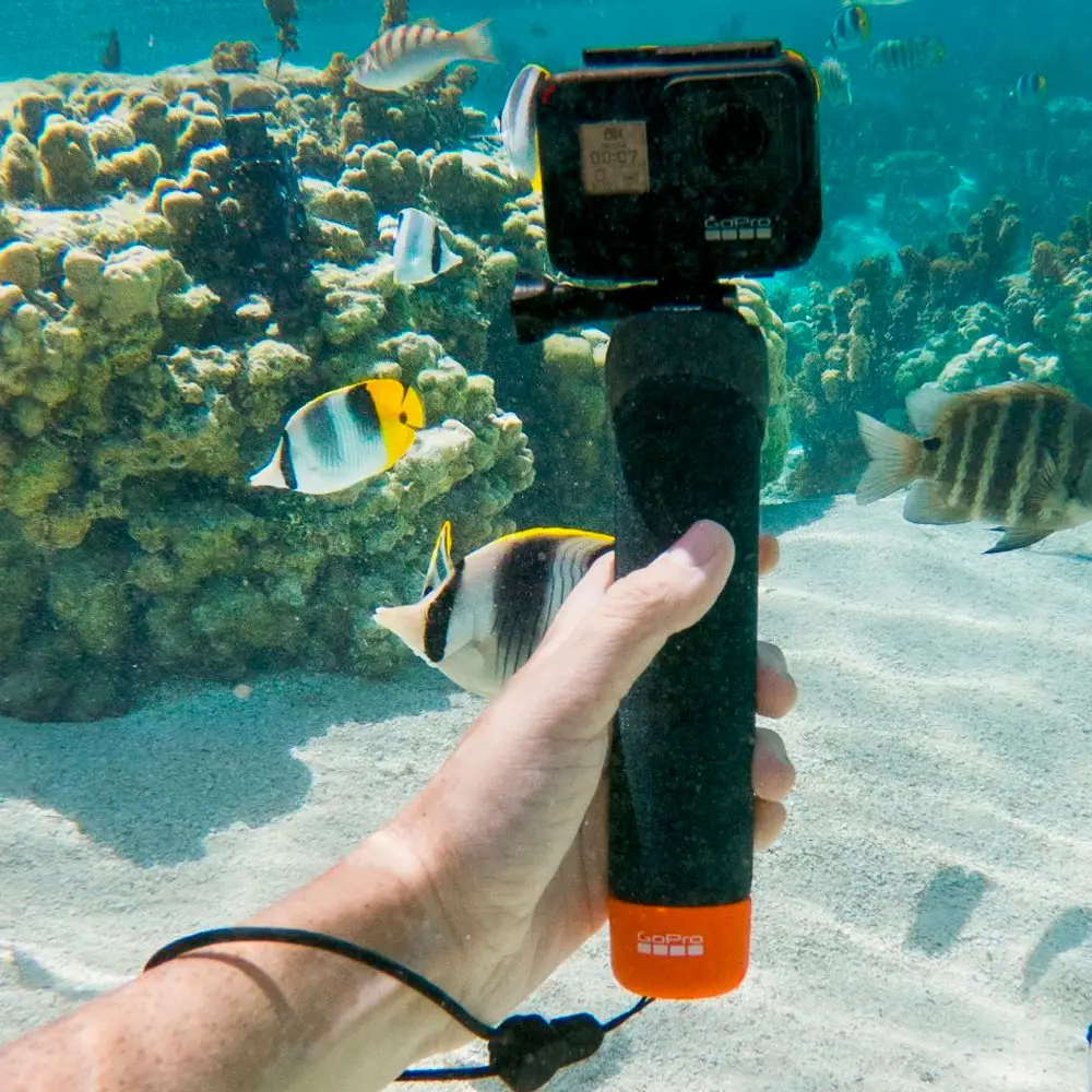 ESHOP10 Handler 6 D Eshop10 - Loja Equipamentos Fotográficos